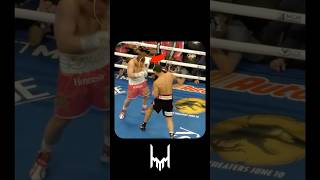 Best Moments Bivol and Canelo boxing [upl. by Bouchard]