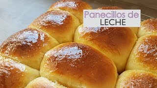 Panecillos de leche dulces  Extra tiernos  Pan tunja [upl. by Acisej790]