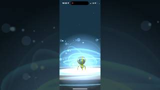 How to evolve Dewpider to Araquanid pokemongo [upl. by Sadowski]