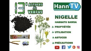 HABBATOU SAOUDA NIGELLE VERTUS amp ASTUCES [upl. by Airogerg]