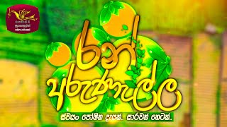 Ran Arunella  රන් අරුණැල්ල  Agriculture Program  Episode 01 20240601  Rupavahini [upl. by Occir34]