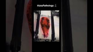 Histology histopathology mywork science interesting job biopsies medical [upl. by Kcinom]