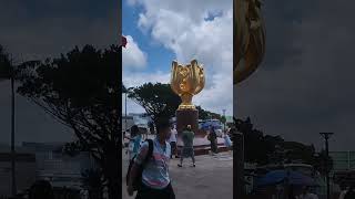 Golden Bauhinia Hongkong Flower fhannyscorner travel hongkong [upl. by Euqinwahs]