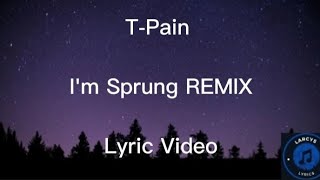 Tpain  Im sprung remix lyric video [upl. by Liw]