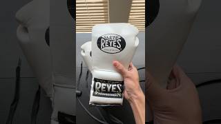 My Custom Boxing Gloves [upl. by Trebuh]