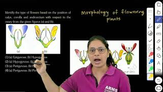 NEET 2024  Identify the type of flowers based on the position of calyx corolla and androecium with [upl. by Anigriv]