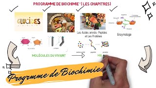 📌📣Programme des cours de BIOCHIMIE Les Glucides Lipides Acides Aminés Peptides Protéines [upl. by Ori127]