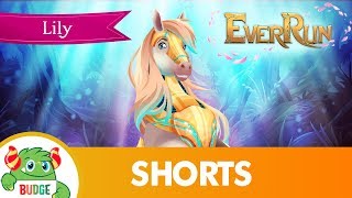 EverRun App  Meet Lily [upl. by Aicenad]