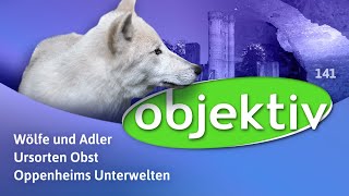 objektiv  Menschen Leben RheinlandPfalz 141 [upl. by Atinej]