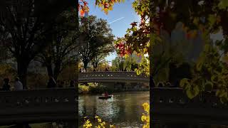 Autumn at Central Park NY ny nyc newyork newyorkcity travel explore adventure city usa [upl. by Anaeerb486]