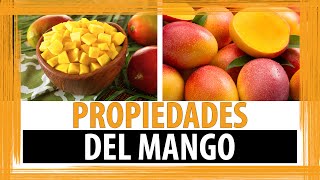 PARA QUE SIRVE EL MANGO  PROPIEDADES DEL MANGO [upl. by Ninazan]