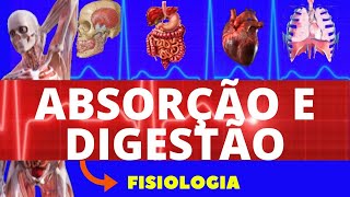 ABSORÇÃO E DIGESTÃO GASTROINTESTINAL  FISIOLOGIA DE GUYTON  FISIOLOGIA HUMANA  INTESTINO DELGADO [upl. by Ennis705]