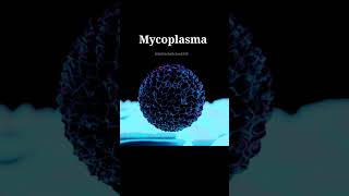 What is MycoplasmaMycoplasma charactersmicrobiologymicroorganismsminivlogfactshealthscience [upl. by Ahseet213]