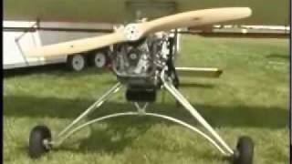 Backyard Flyer Swing Wing ultralight aircraft [upl. by Maris229]