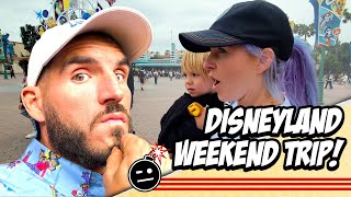 DISNEYLAND WEEKEND FAMILY TOUR  Disneyland Vlog [upl. by Onibag]