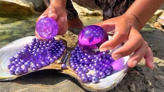 Uncovering the Mystery of River Clams The Story of a Girl Collecting Purple Pearl [upl. by Ettelracs306]