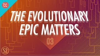 Why the Evolutionary Epic Matters Crash Course Big History 203 [upl. by Anailuig716]