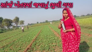 Sanje khetar ma javanu bhuli gayanew gujrati family vlogGujrati video [upl. by Manouch447]