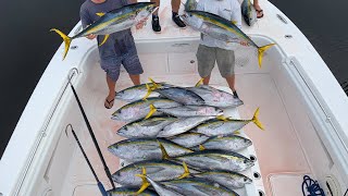 Yellowfin Tuna Slay WE LIMITED OUT Tuna Fishing [upl. by Zampino]