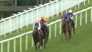 2011 Qipco Sussex Stakes  Frankel vs Canford Cliffs [upl. by Edrick]