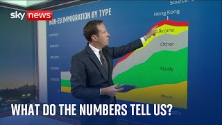 Migration rise What do the numbers tell us [upl. by Helli]