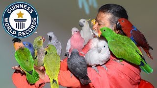 Most bird species in an aviary  Guinness World Records [upl. by Nahpos]