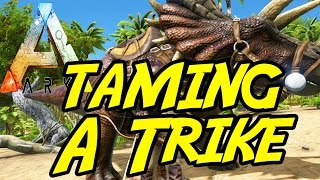 Taming a Trike Ark Survival Evolved 2 [upl. by Zahavi]