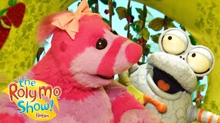 Roly Mo Show – Music Lessons  Cartoons for Children  Fimbles amp Roly Mo [upl. by Raclima]