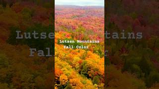 Fall Colors  Beauty  Lutsen Mountain  Minnesota  USA  Trending Nature Color Autumn🍁 [upl. by Dorolisa]