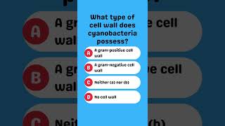 What type of cell wall does cyanobacteria possess [upl. by Scot337]