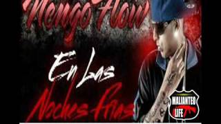 Ñengo Flow Nova y Jory  En las Noches Frias Remix Estreno 2011 [upl. by Ravens]