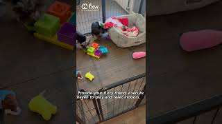 FXW Indoor Dog Playpen For Sale [upl. by Ragas]