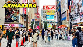 Tokyo Akihabara Walking Tour  Japan 2024  秋葉原・日本旅行 [upl. by Patin]