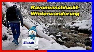 Wanderung durch die Ravennaschlucht ab Bahnhof Hinterzarten  eine frostige Angelegenheit 🐻‍❄️😉 [upl. by Yenmor]