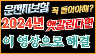 2024년 운전자보험의 진실 이거만 보면돼 운전자보험 [upl. by Atidnan]