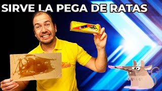 Beneficios de la pega para capturar ratas y roedores [upl. by Ytrebil]