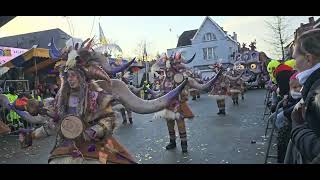 AKV De Schoitkitten Opwijk carnaval 2024 [upl. by Fosque204]