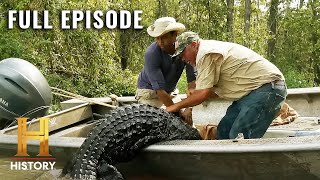 Swamp People Gator Feeding Frenzy S12 E5  Full Episode [upl. by Melbourne312]