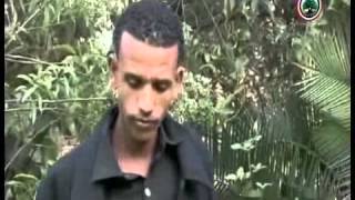 Kadir Martu  Mahbuubaa Oromo Music [upl. by Nnailuj878]