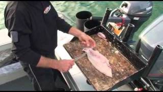 How to fillet snapper [upl. by Ossie]