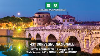 43° Convegno Nazionale AIP [upl. by Adamski]