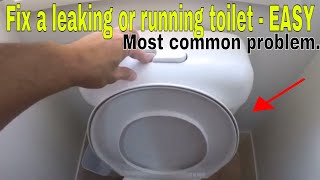 How to fix a leaking running toilet  most common problem [upl. by Adarbil902]