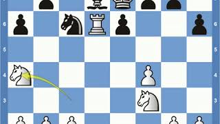 Match of the Century Fischer vs Spassky Game 20 [upl. by Adnilam495]