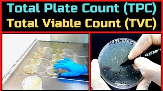 Total Plate Count Total Aerobic Bacterial CountA Complete Procedure BAM Ch3 [upl. by Notslah]