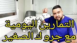 ماهي التمارين لي نقدر نخدمها مع جرو صغير و كم من الوقت تستغرق هذه التمارين comment éduquer un chiot [upl. by Leinad]