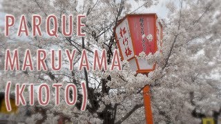 DE PASEO POR EL PARQUE MARUYAMA MARUYAMA KOEN 円山公園 [upl. by Kedezihclem128]