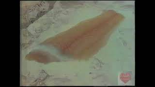 Gortons Fish Ad Keep the Ocean Clean 1991 [upl. by Hillyer]