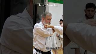 Heian Sandan kata bunkai Dormenko Sensei karate martialarts [upl. by Bartley]