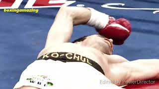 🔥Nonito Donaire Top 10 Knockouts And Highlights🔥 [upl. by Neitsabes]