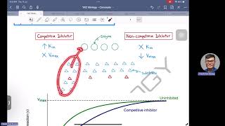 Key Concepts in Explaining Graph of Enzyme Inhibitors [upl. by Eelame]